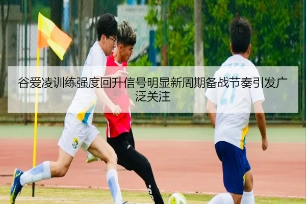 谷爱凌训练强度回升信号明显新周期备战节奏引发广泛关注